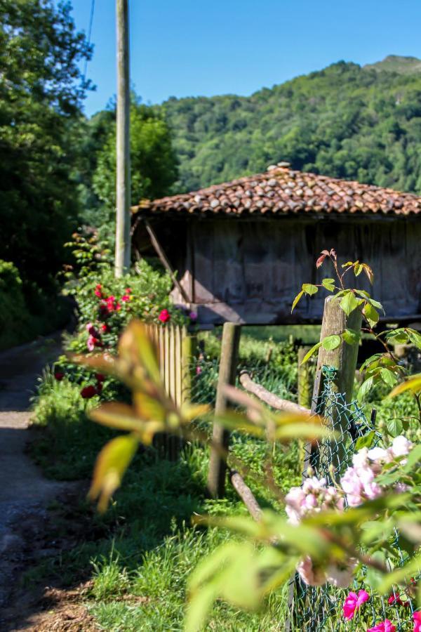 Casa Clarita Βίλα Caño Εξωτερικό φωτογραφία