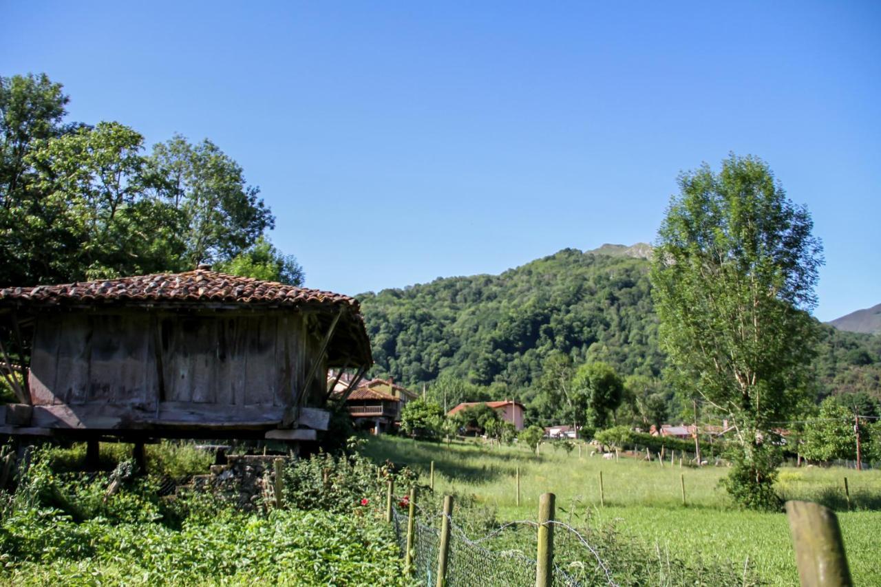 Casa Clarita Βίλα Caño Εξωτερικό φωτογραφία